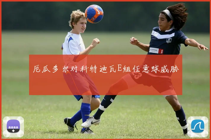 厄瓜多尔对科特迪瓦E组任意球威胁