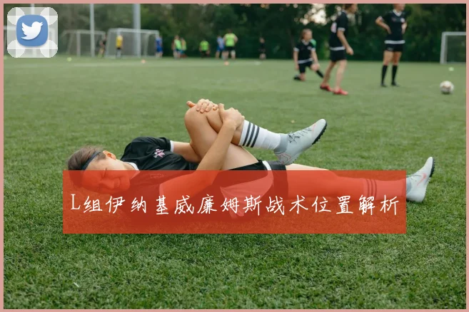 L组伊纳基威廉姆斯战术位置解析