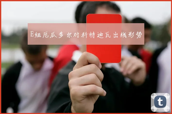 E组厄瓜多尔对科特迪瓦出线形势