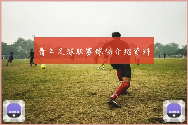青年足球联赛球场介绍资料